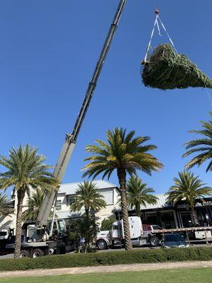 Christmas tree installation