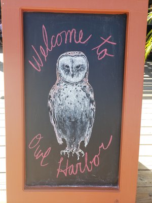 Owl Harbor