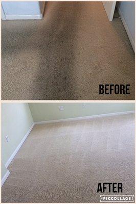 Fox Carpet Cleaning