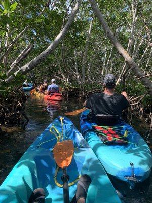 Mangroves