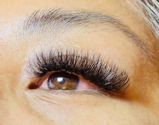 Volume Lashes