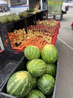 Melons, Root Veg, Fennel & Artichokes