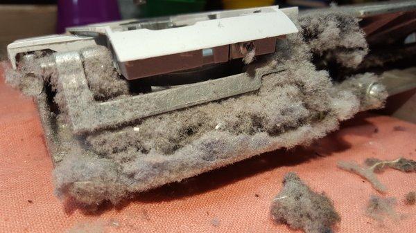 Lint accumulation... call today.