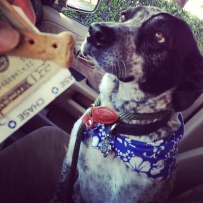 Cash for me and a dog biscuit for Leroy! Thanks @jpmorgan Chase!