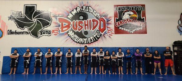 Bushido MMA and BJJ Training Facility