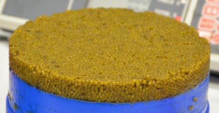 Imperial Hybrid Caviar, Exclusive only at Paramount Caviar.