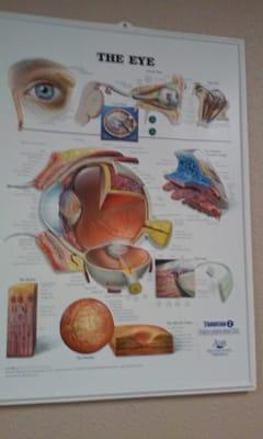 An Eye Chart to educate you while you wait for your appointment.