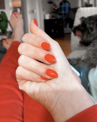 Regular polish on acrylic & matching gel toes (featuring my dog to the right)