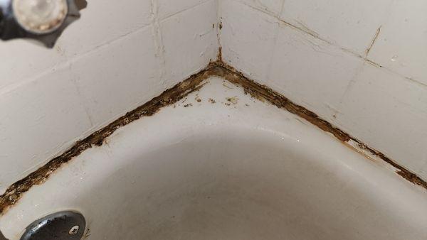 More decay in the bathroom