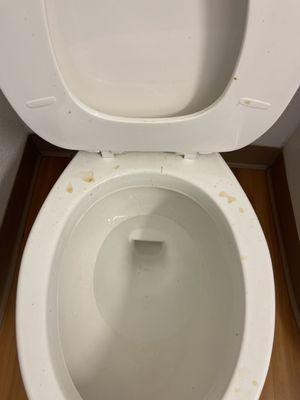 ALWAYS CHECK THE TOILET BEFORE YOU USE THEM!! Dried up urine!!