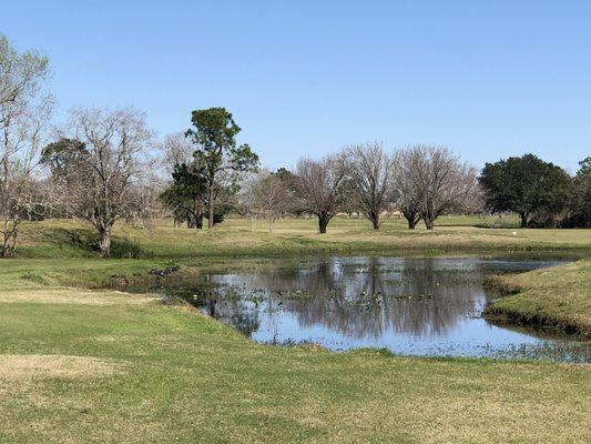 Golf course