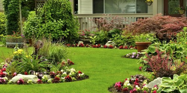 Maple Valley Landscaping