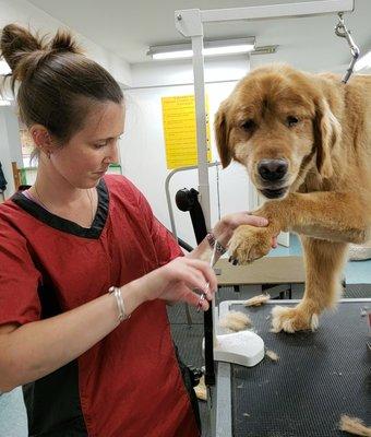 We feature a state-of-the-art full service grooming salon.