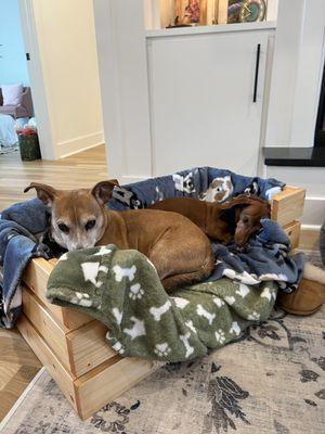 1. Custom dog bed