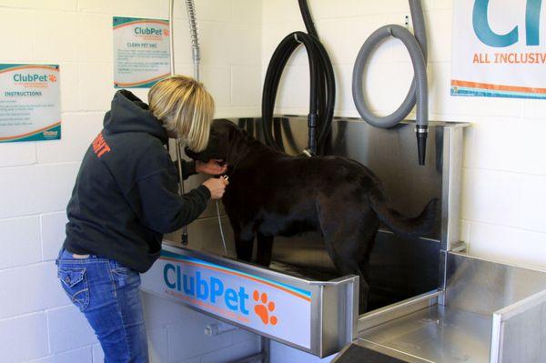 Self-Service Pet Wash