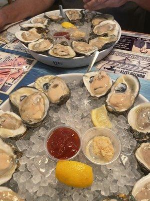 2 dozen oysters