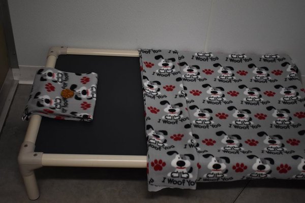 Kuranda bed with fleece and homemade treat