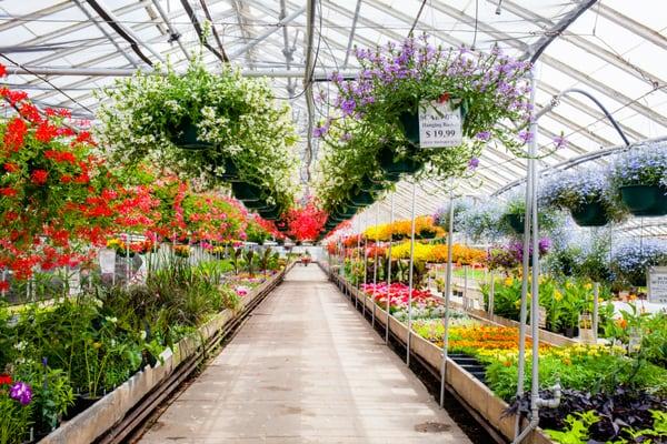 Urhausen Greenhouses