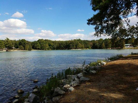 Craighead Forest Park Pavillion 6, Pond View.