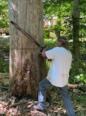 Notching dead Oak in Alpine today