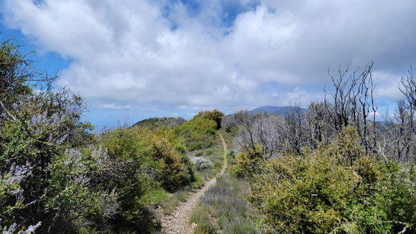 Los Pinos Peak