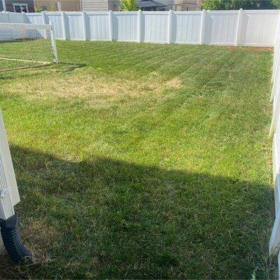 After photo of lawn maintenance!