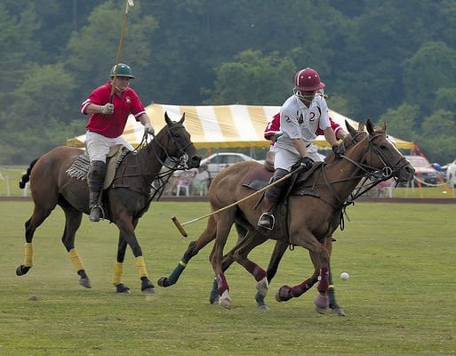 This photo of Tinicum Polo's Max Berger Cup, an USPA event, on July 12, 2008 is courtesy of Richard Green (All rights reserved).