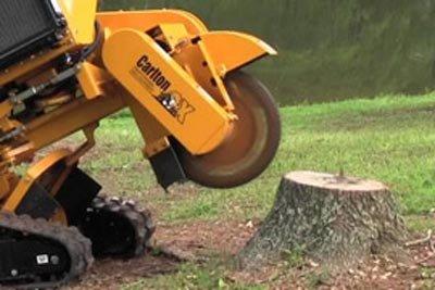 Tree stump removal and grinding by Flat Out!