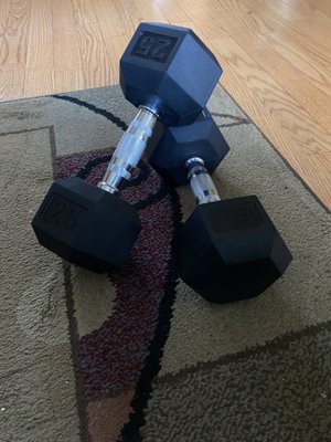 25 LB Dumbbells