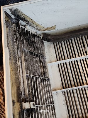 Black mold in the heater