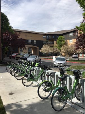 Bike Rack