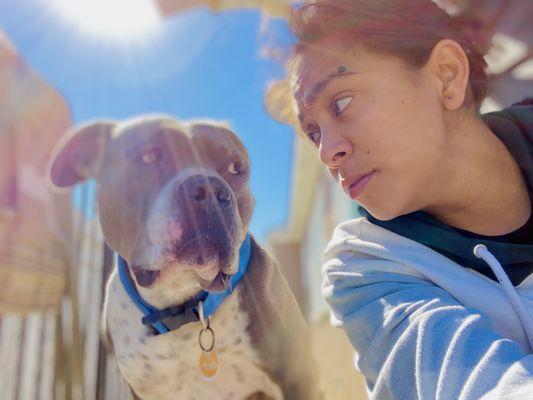 Maxxie & I having a photo shoot  during a holiday pet sit  #GentleGiant