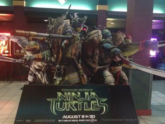 Teenage Mutant Ninja Turtles coming soon