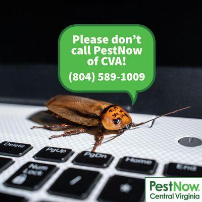 PestNow of Central Virginia | Ruther Glen