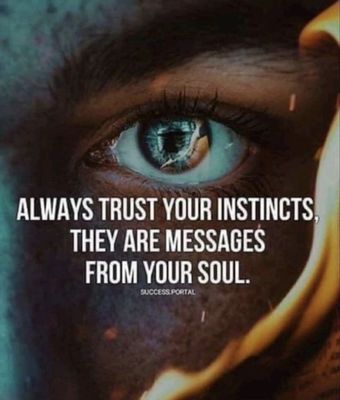 Soul instincts