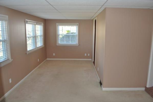 Wood Paneled Family Room