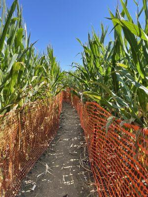 Thies Farm and Greenhouses