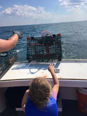 Look mom, I'm HELPING like a REAL LOBSTERMAN!