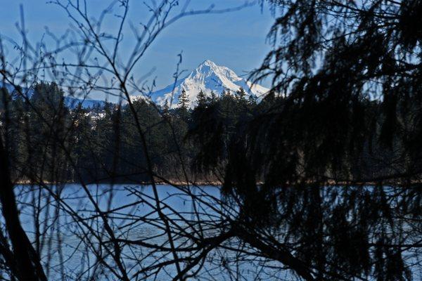 Views of Mt Hood in many places