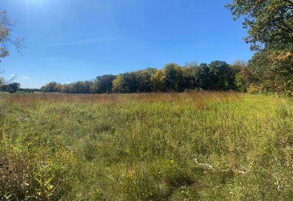 Eastern trail loop