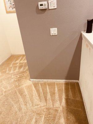 Carpet Cleaning