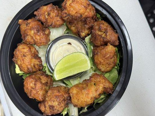 242 Conch Fritters