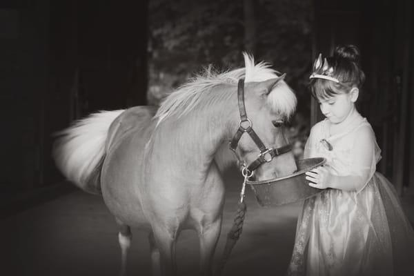 A Pony Playce guest feeding Charm a treat!