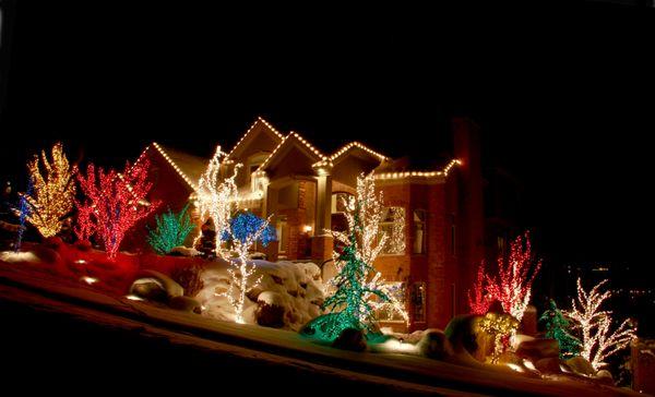 Tree lights covered from top to bottom to brighten up your landscape!