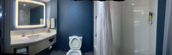 Panoramic view of the bathroom area