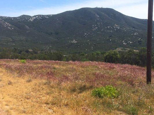 Beautiful 40 acre property in Hemet, Ca