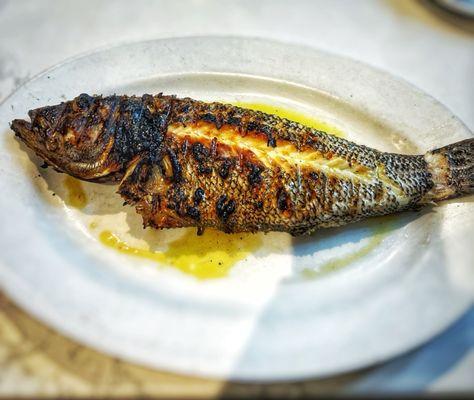 Black Sea Bass