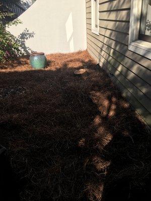 Weeds removed pine straw added