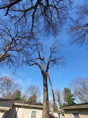 60-70ft tree removal over house and garage 
Tree had a rotten core.