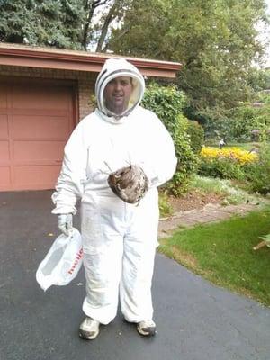 Wasps and hornets don't stand a chance!